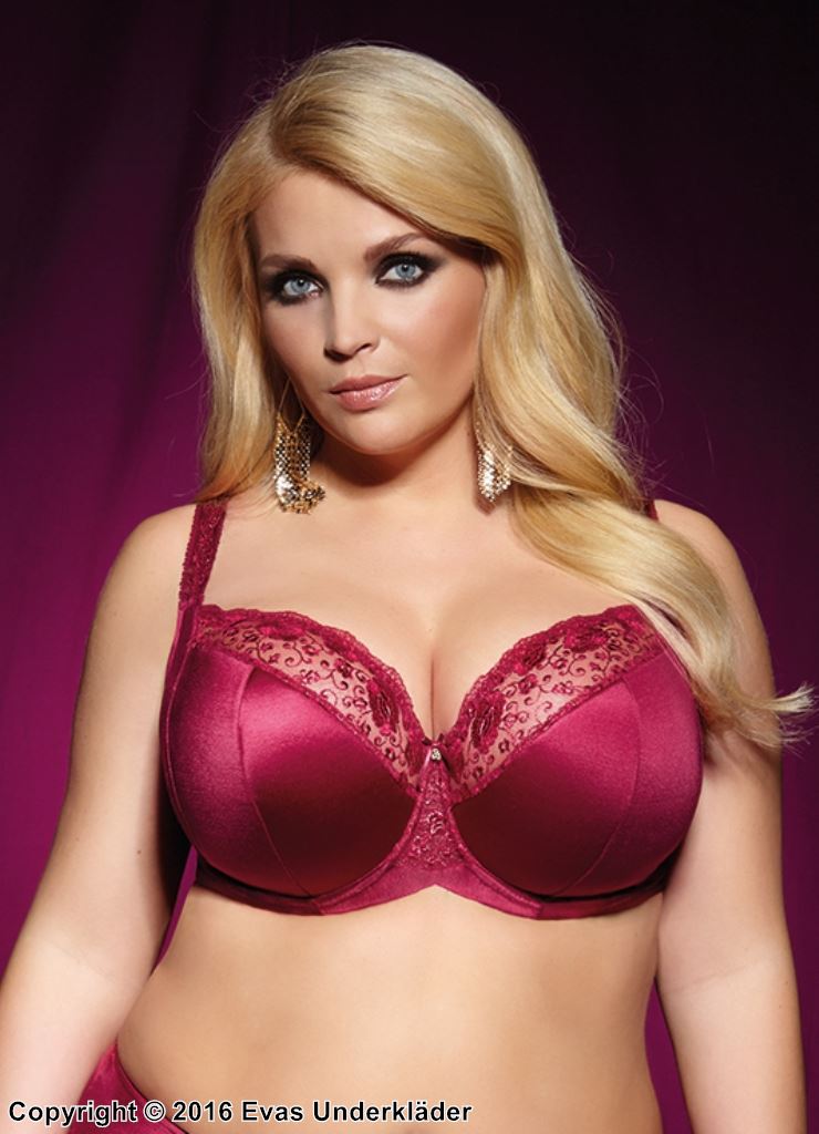 Exclusive big cup bra, embroidery, partially sheer cups
